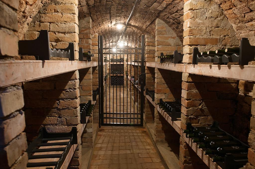 Apartman Cabernet Velké Pavlovice Oda fotoğraf